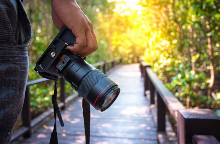 Best Cameras For Easy Travel in…