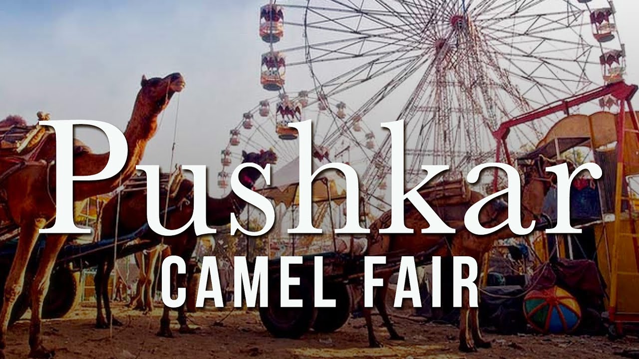 My Journey to the Pushkar Camel Fair: A Colorful Desert…