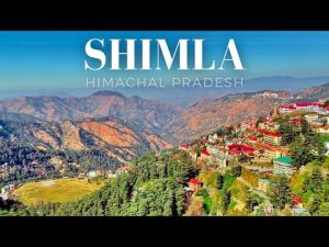 Shimla