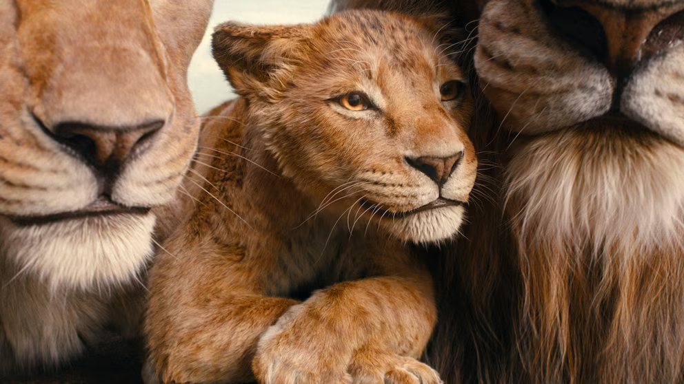 Shah Rukh Khan’s soulful voice transforms Disney’s Mufasa into a heartfelt Indian tale, blending Barry Jenkins’ layered narrative with poetic depth and local essence.

