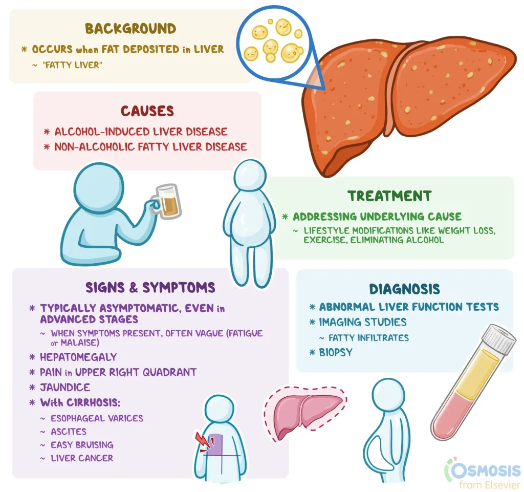 Fatty-liver