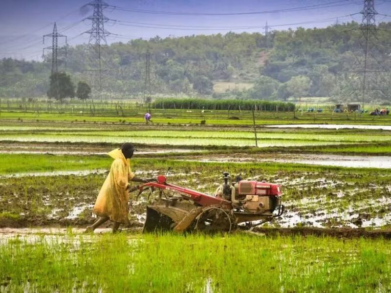 पीएम किसान उत्सव दिवस पर सीएम धामी ने किसानों की सराहना की