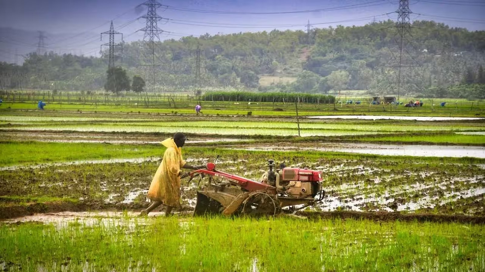 पीएम किसान उत्सव दिवस पर सीएम धामी ने किसानों की सराहना की