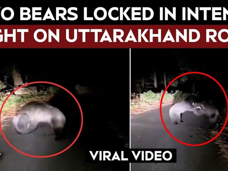 हरिद्वार में ड्रोन से छतों पर पत्थरों का भंडार मिला, 9 गिरफ्तार