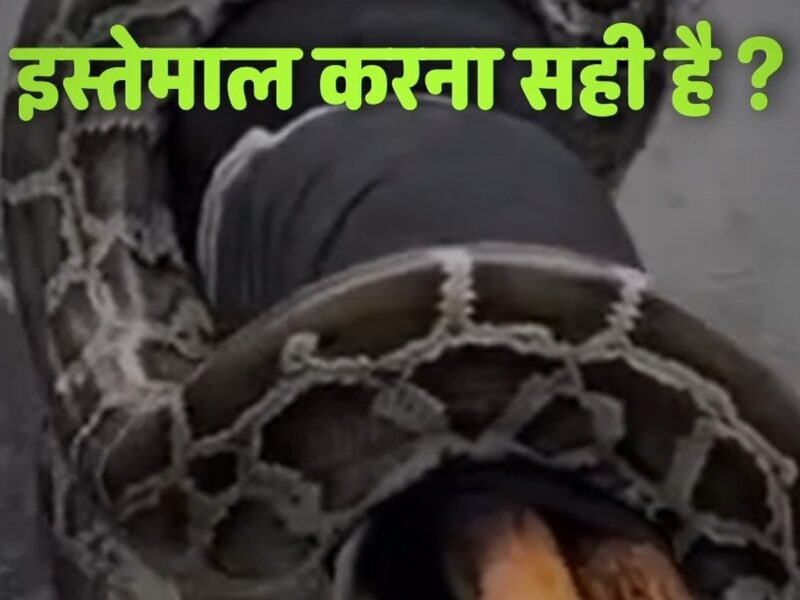 कांवड़ पर विशाल अजगर लिपटते ही मचा हड़कंप, सोशल मीडिया पर वीडियो हुआ वायरल