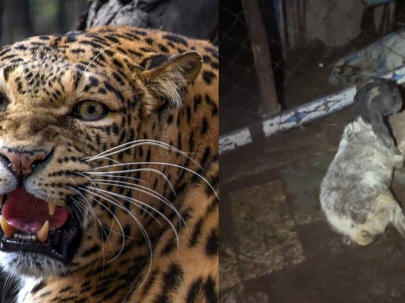 यूपी के सभी 762 निकायों में लागू होगी ओटीएस योजना, संपत्ति कर बकाएदारों को बड़ी राहत
