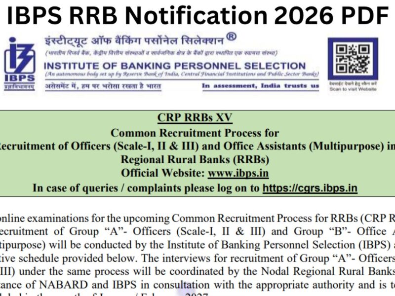 13,745 पदों पर ग्रेजुएशन पास के लिए मौका: 21 सितंबर से पहले ibps.in पर करें आवेदन